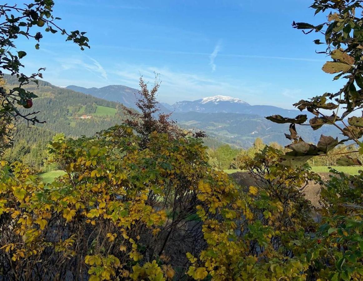 Familiengasthof Pension Oedenhof Sankt Corona am Wechsel Bagian luar foto